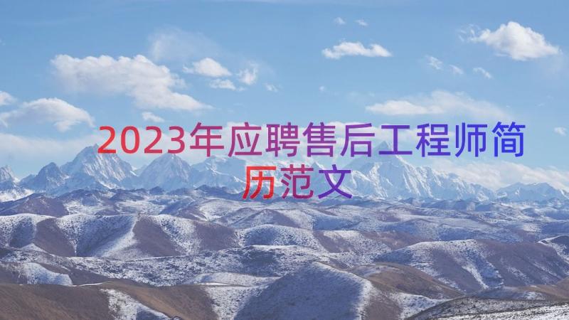 2023年应聘售后工程师简历范文（16篇）