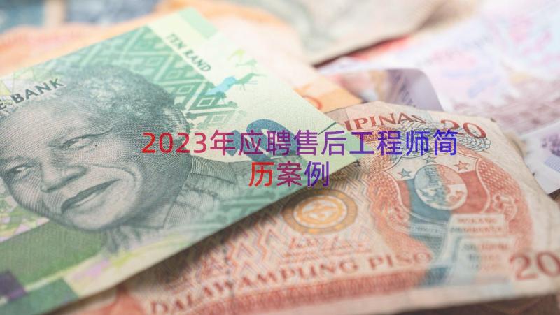 2023年应聘售后工程师简历（案例13篇）