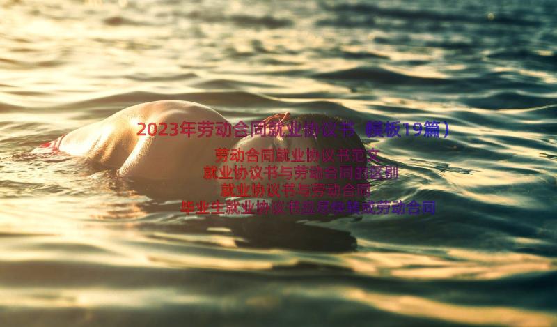 2023年劳动合同就业协议书（模板19篇）