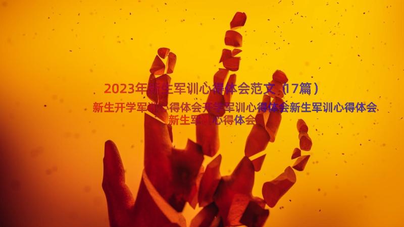 2023年新生军训心得体会范文（17篇）