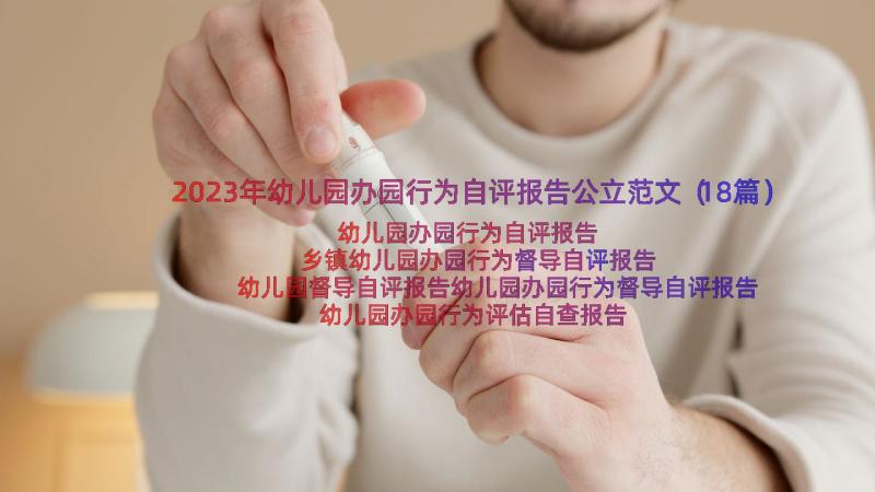 2023年幼儿园办园行为自评报告公立范文（18篇）