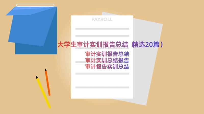 大学生审计实训报告总结（精选20篇）