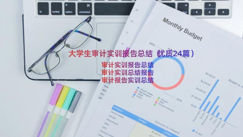 大学生审计实训报告总结（优质24篇）