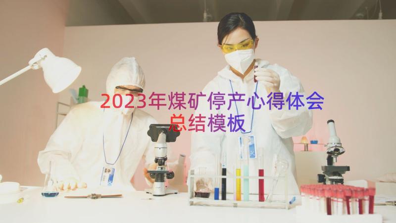 2023年煤矿停产心得体会总结（模板18篇）