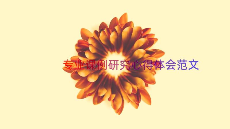 专业课例研究心得体会范文（19篇）