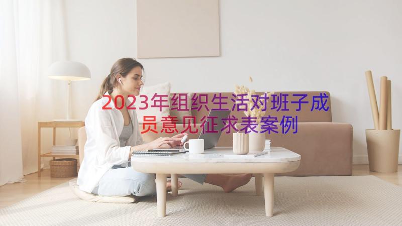 2023年组织生活对班子成员意见征求表（案例14篇）