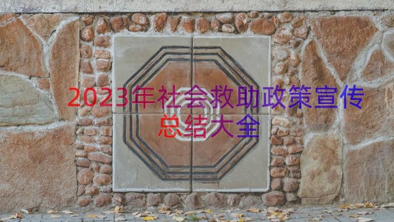 2023年社会救助政策宣传总结大全（18篇）