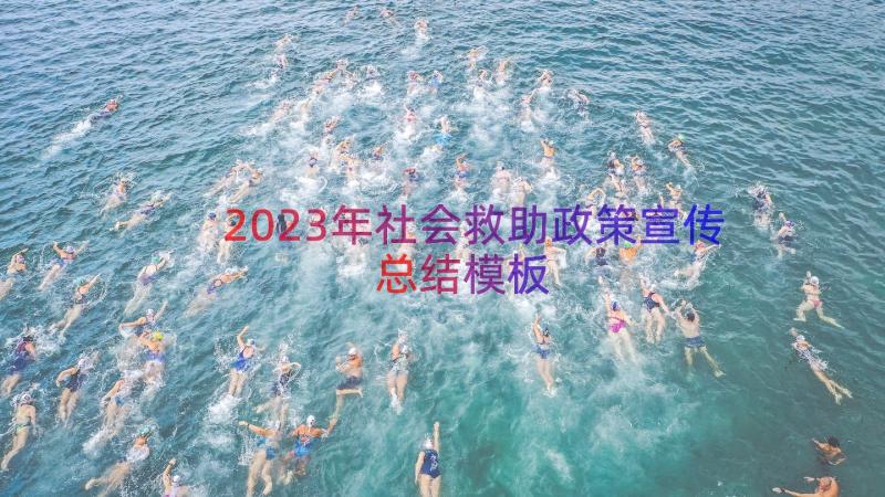 2023年社会救助政策宣传总结（模板15篇）