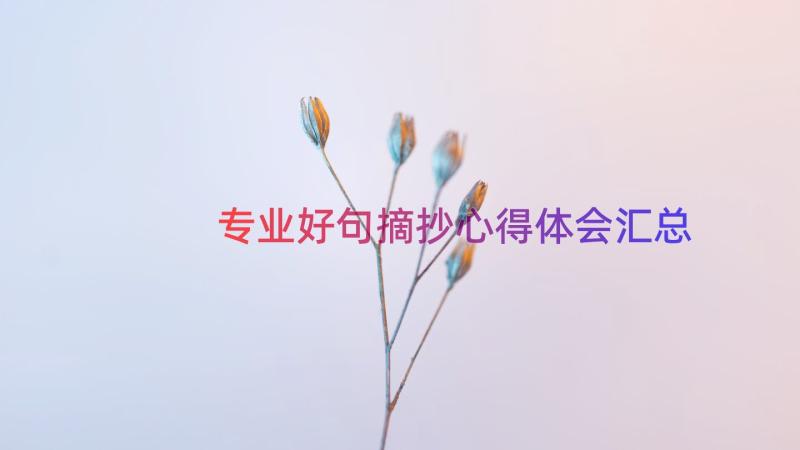 专业好句摘抄心得体会（汇总15篇）