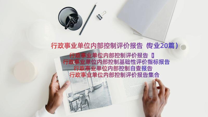 行政事业单位内部控制评价报告（专业20篇）