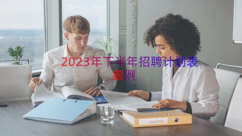 2023年下半年招聘计划表（案例13篇）