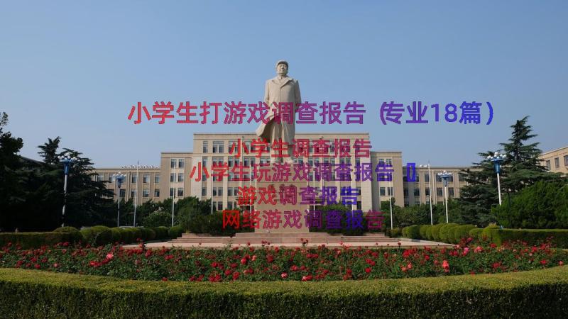 小学生打游戏调查报告（专业18篇）