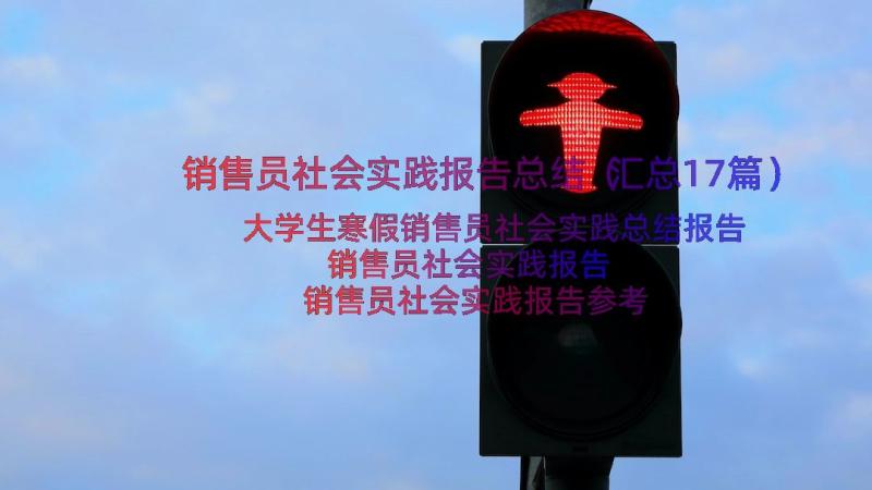 销售员社会实践报告总结（汇总17篇）