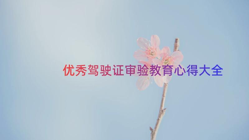 优秀驾驶证审验教育心得大全（17篇）