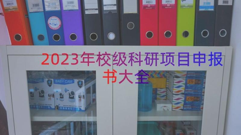 2023年校级科研项目申报书大全（12篇）