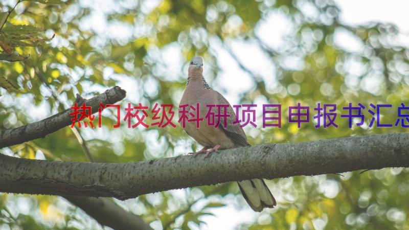 热门校级科研项目申报书（汇总17篇）