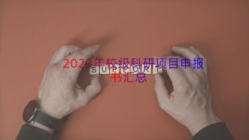 2023年校级科研项目申报书（汇总16篇）