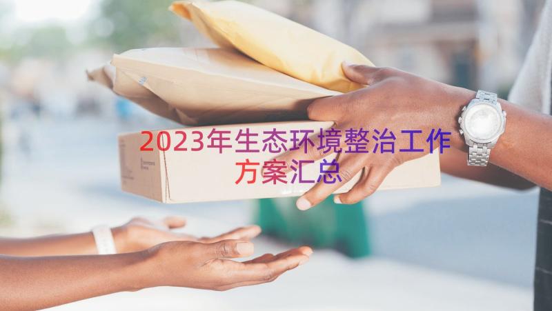 2023年生态环境整治工作方案（汇总17篇）