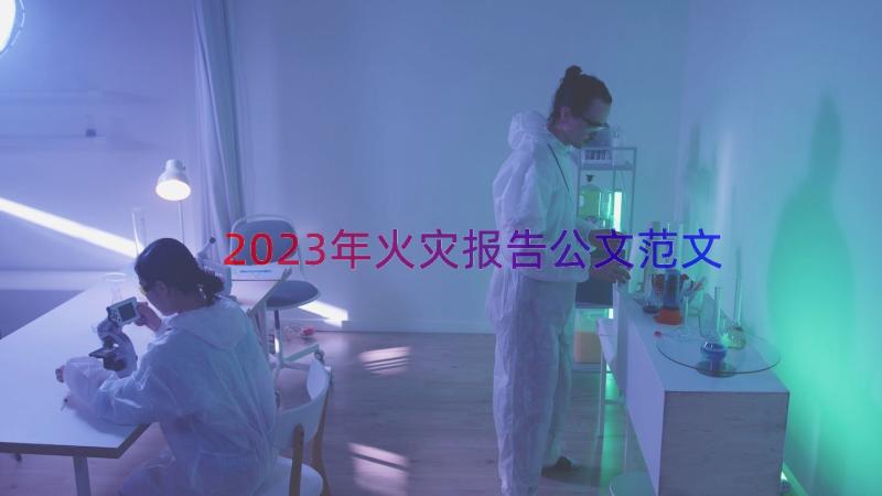 2023年火灾报告公文范文（15篇）