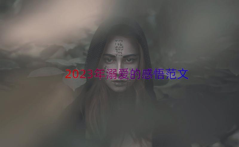 2023年溺爱的感悟范文（16篇）