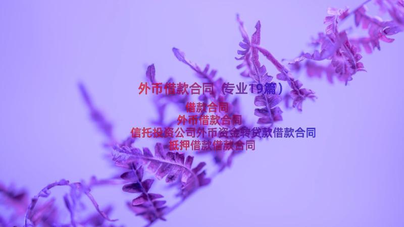 外币借款合同（专业19篇）