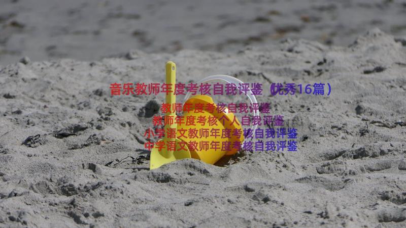 音乐教师年度考核自我评鉴（优秀16篇）