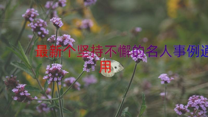 最新个坚持不懈的名人事例（通用13篇）