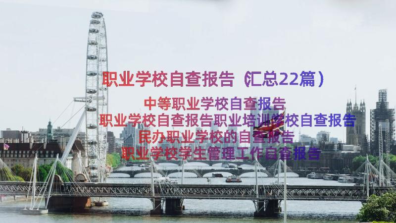 职业学校自查报告（汇总22篇）