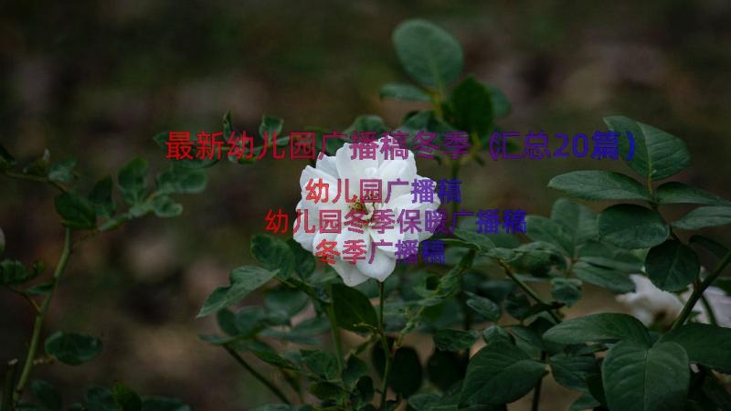 最新幼儿园广播稿冬季（汇总20篇）