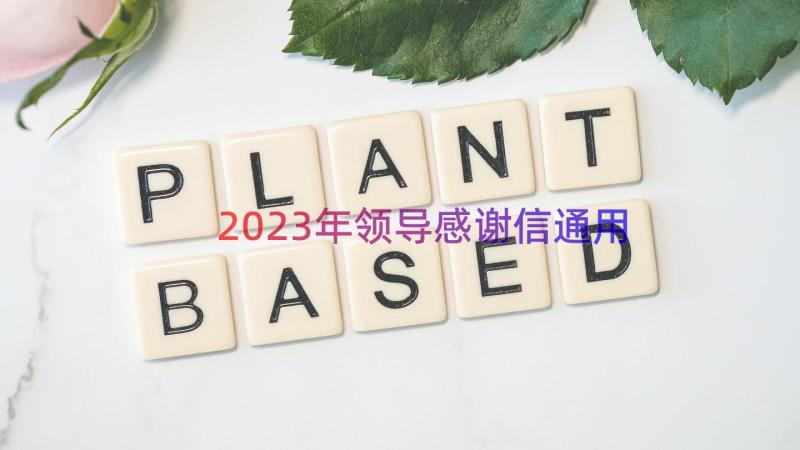 2023年领导感谢信（通用17篇）