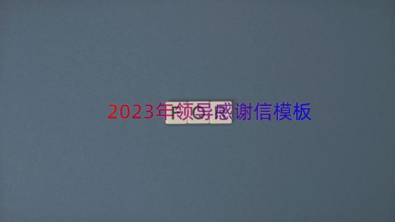 2023年领导感谢信（模板16篇）