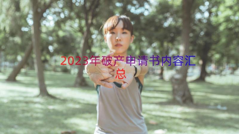 2023年破产申请书内容（汇总16篇）