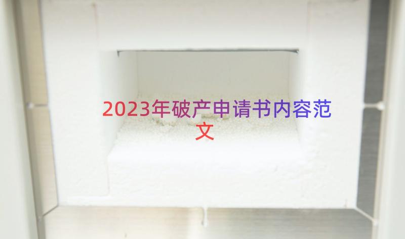 2023年破产申请书内容范文（16篇）