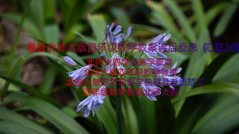 最新北师大版四年级数学教案课后反思（汇总20篇）