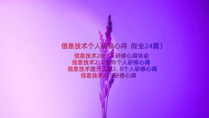 信息技术个人研修心得（专业24篇）