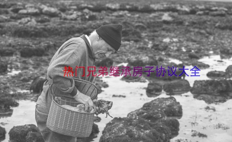 热门兄弟继承房子协议大全（18篇）