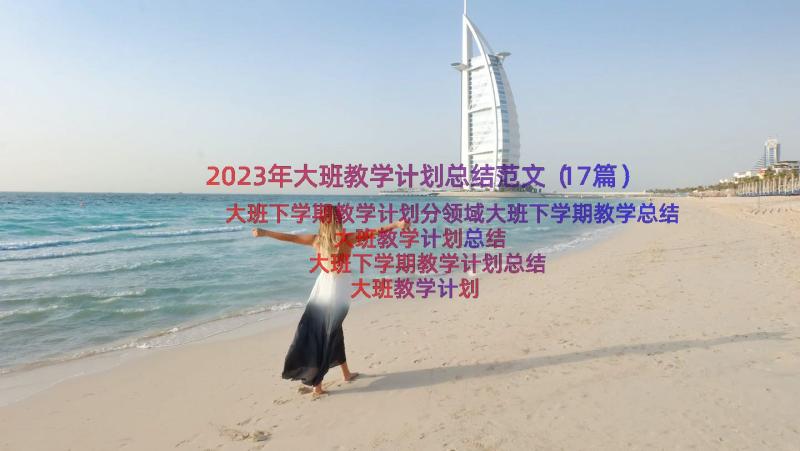 2023年大班教学计划总结范文（17篇）