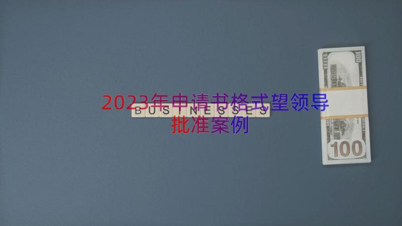 2023年申请书格式望领导批准（案例14篇）