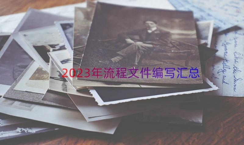 2023年流程文件编写（汇总14篇）