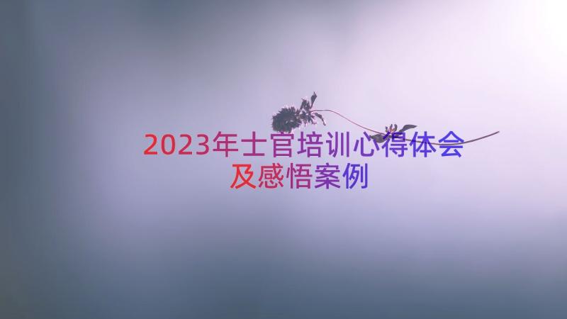 2023年士官培训心得体会及感悟（案例16篇）