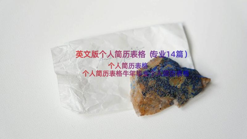 英文版个人简历表格（专业14篇）