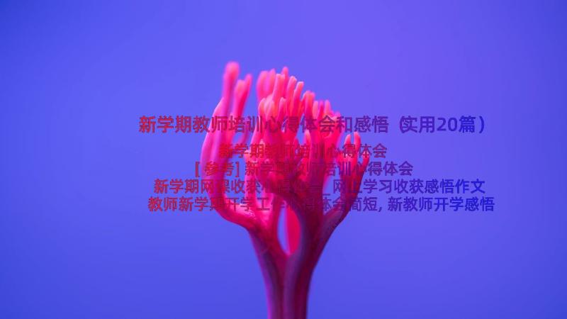 新学期教师培训心得体会和感悟（实用20篇）