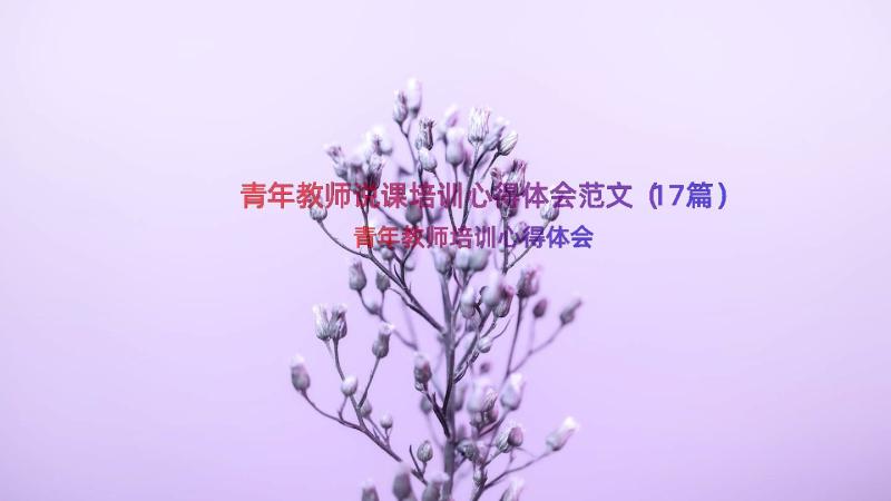 青年教师说课培训心得体会范文（17篇）