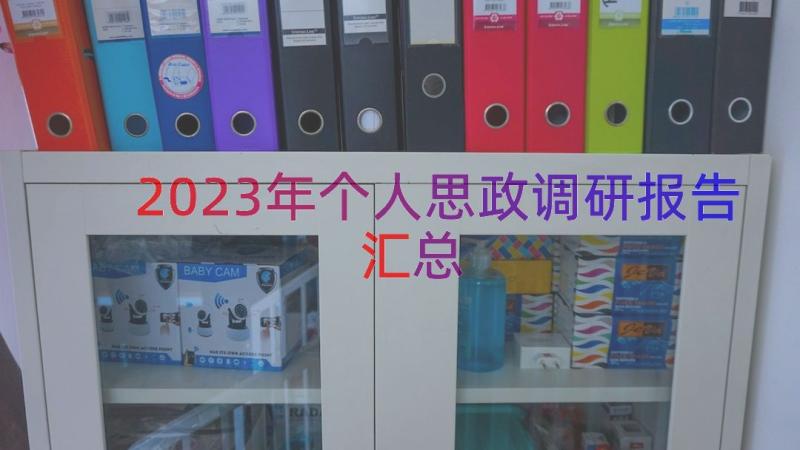 2023年个人思政调研报告（汇总12篇）