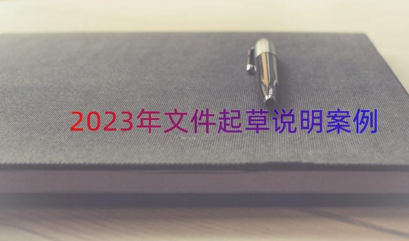 2023年文件起草说明（案例14篇）