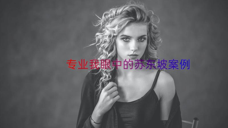 专业我眼中的苏东坡（案例20篇）