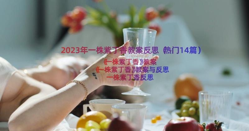 2023年一株紫丁香教案反思（热门14篇）