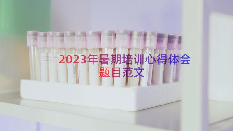 2023年暑期培训心得体会题目范文（17篇）