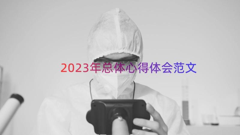 2023年总体心得体会范文（16篇）