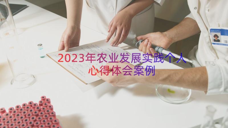 2023年农业发展实践个人心得体会（案例13篇）